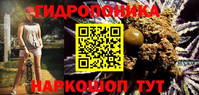 спиды Обь