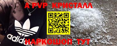 спиды Обь