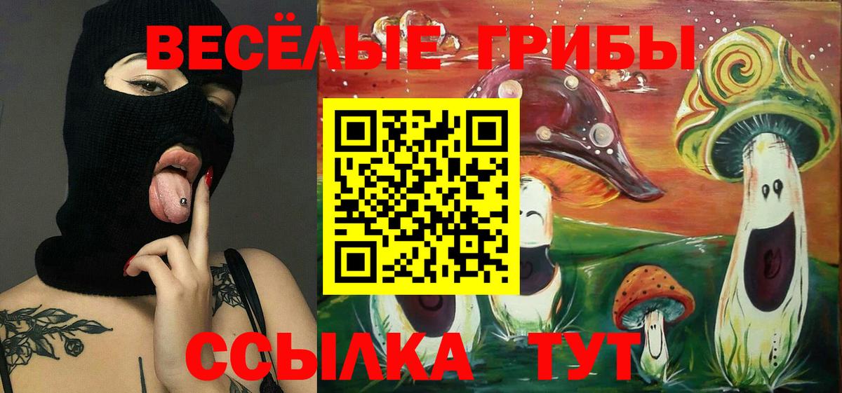 Пыть-Ях  Галлюциногенные грибы прущие грибы  Галлюциногенные грибы мицелий  Вход с VPN 