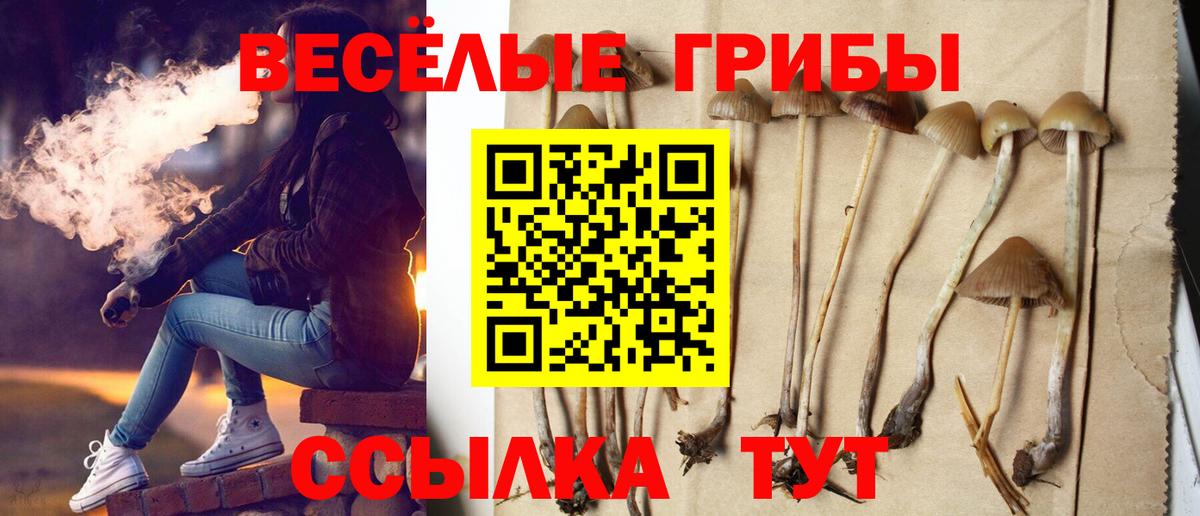 Галлюциногенные грибы GOLDEN TEACHER Пыть-Ях